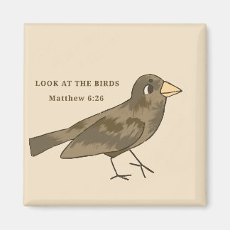 Íman Olhe o ímã dos pássaros