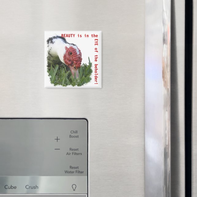 Íman Olho da Fotografia de Fechamento do Pato (In Situ (Fridge))