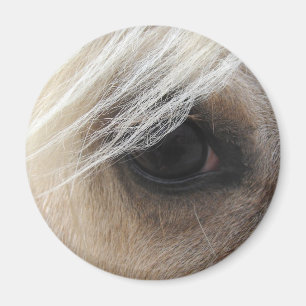 Íman Olho de Palomino Horse