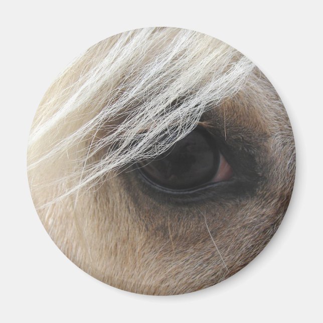 Íman Olho de Palomino Horse (Frente)