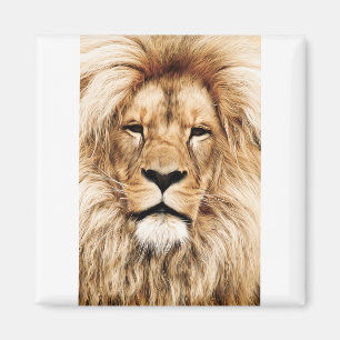 Íman Olho Detalhado do Leão Africano de Lion Animal