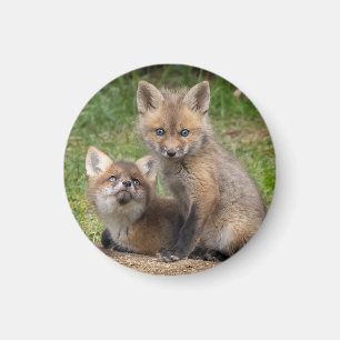 Íman Olhos Adoráveis