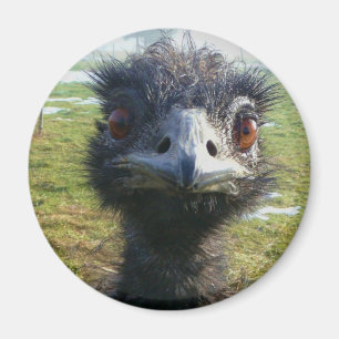 Íman Olhos Beady EMU