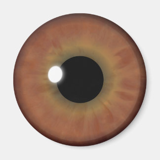 Íman Olhos Castanhos Iris Eyeball Legal Magntos Arredon
