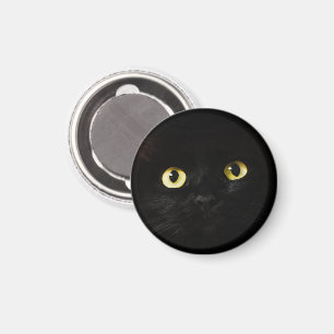Íman Olhos de gato amarelos, gato preto, fundo preto