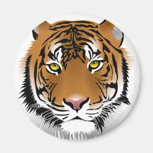 Íman Olhos de Tigre