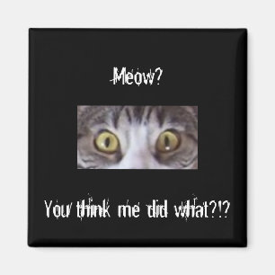Íman Olhos largos do gato de gato malhado