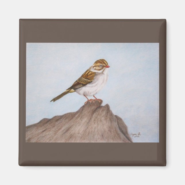 Íman Olhos no Magnete Sparrow (Frente)