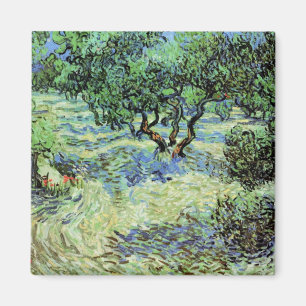 Íman Olive Grove de Vincent van Gogh