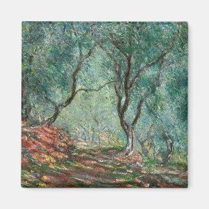 Íman Olive Tree Wood no Jardim Moreno (por Monet)