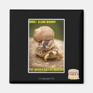 Íman OMG! Slow down!