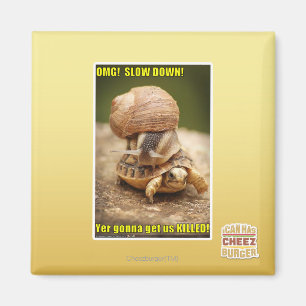 Íman OMG! Slow down!