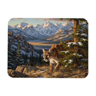 Íman Onça-pintada no Parque Nacional Rocky Mountain Tra