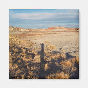 Íman Onda do deserto: Foto do parque nacional de