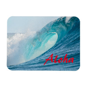 Íman Onda surfando do tambor que quebra Aloha o ímã