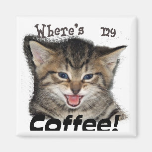 Íman Onde está meu gato do café