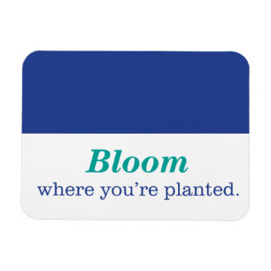 Íman Onde você é plantado