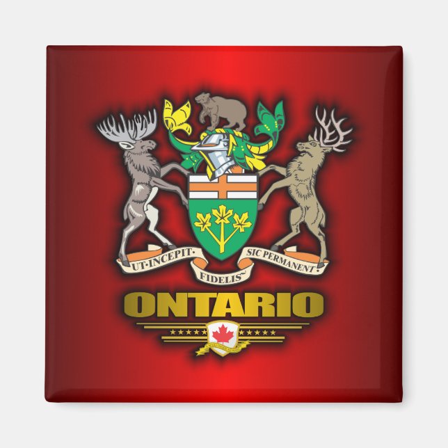Íman Ontario COA (Frente)
