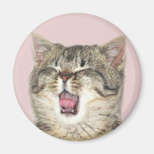 Íman Open mouthed o gatinho