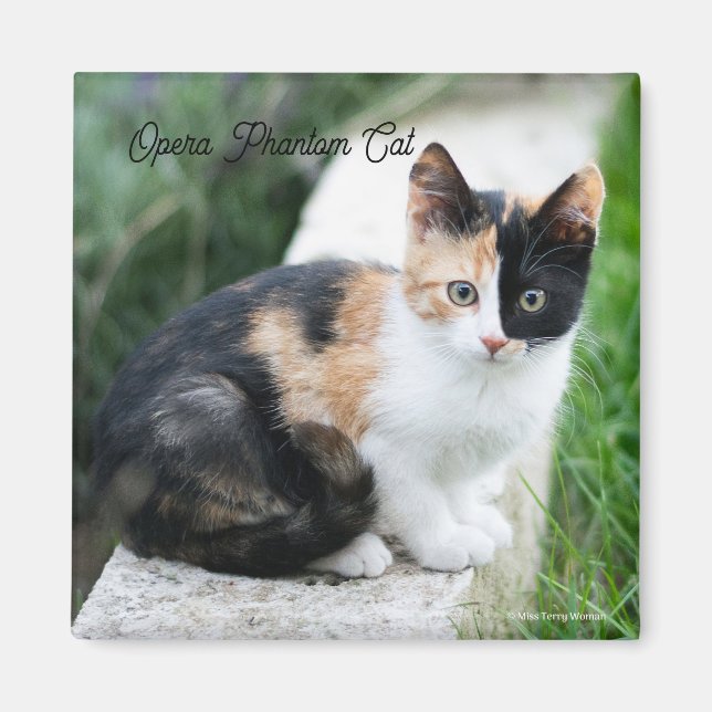 Íman Opera Phantom Cat (Frente)