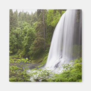 Íman Opinião borrada da cachoeira e da floresta em