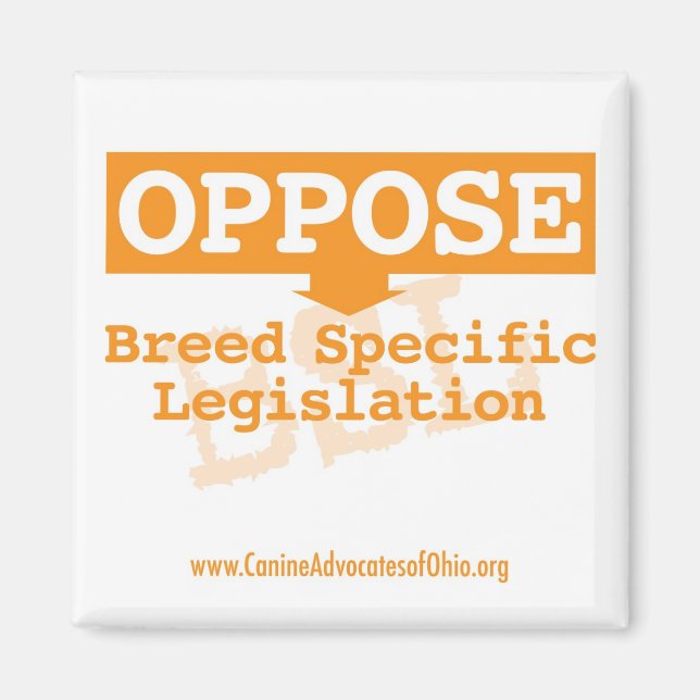 Íman Opor Magneto Quadrado BSL (Frente)