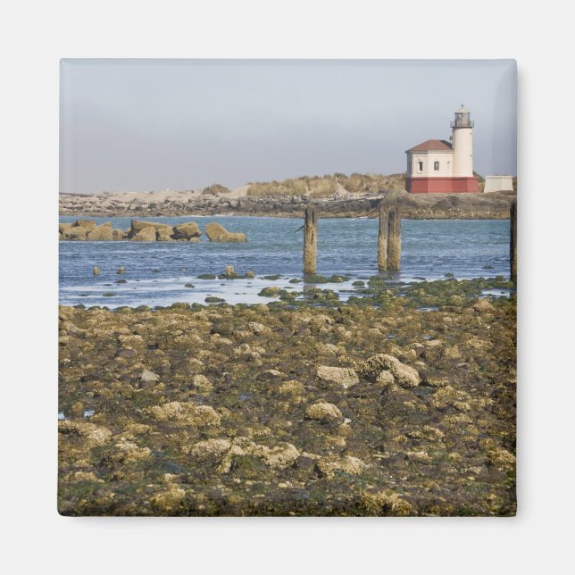 Íman OR, Costa do Oregon, Bandon, Rio Coquille (Frente)