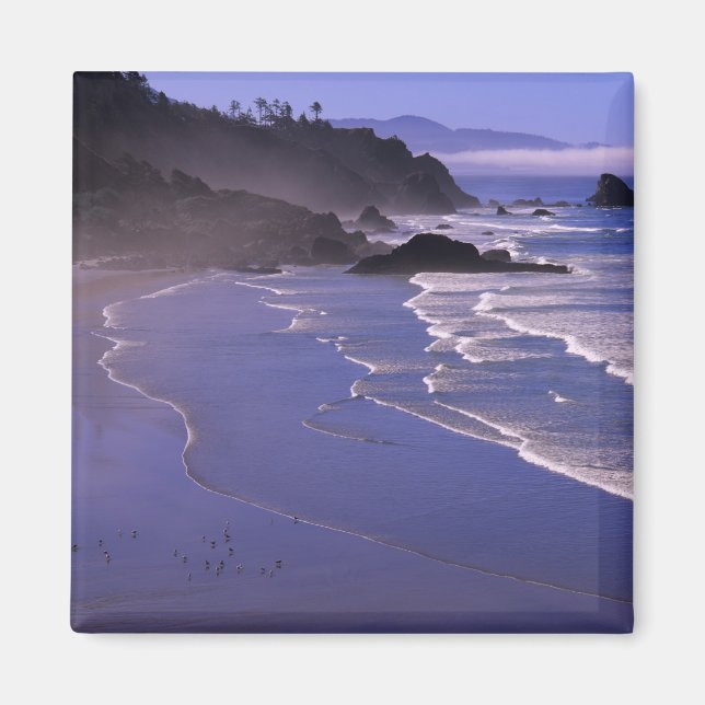 Íman OR, Costa do Oregon, Ecola SP, Indian Beach com (Frente)