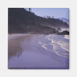 Íman OR, Ecola SP, Praia Indiana com nevoeiro da manhã
