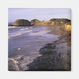 Íman OR, Oregon Coast, Newport, costa no Selo
