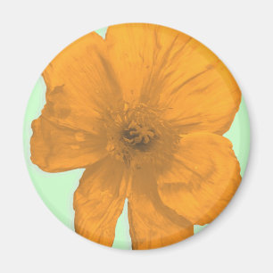 Íman Orange Aid/ PopArt Flower