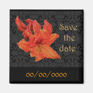 Íman Orange Azalea Blossoms