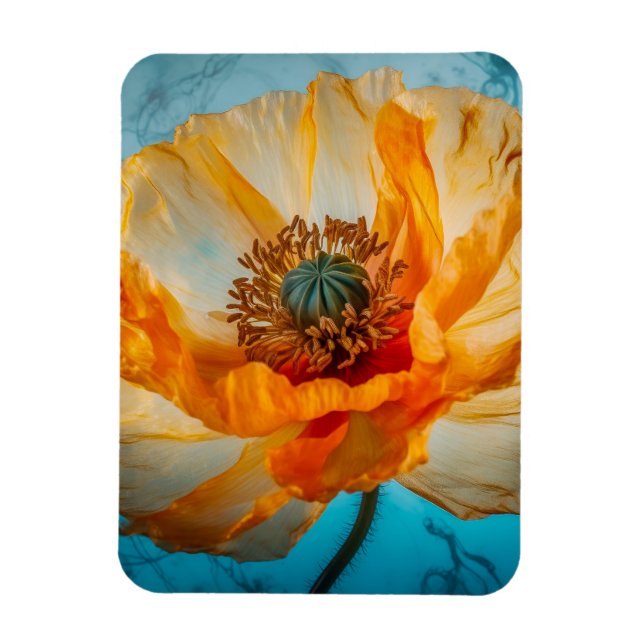 Íman Orange Beauty (Vertical)