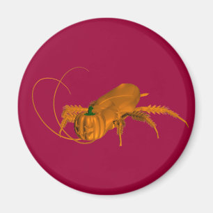 Íman Orange Cockroach