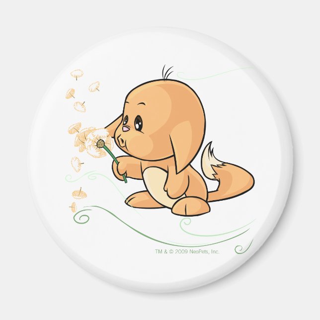 Íman Orange Kacheek desejando um dandelion (Frente)