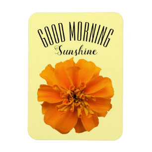 Íman Orange Marigold Good Morning Sunshine