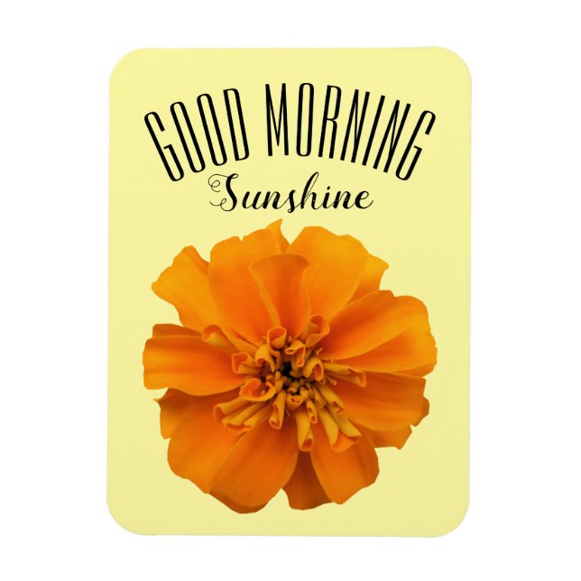 Íman Orange Marigold Good Morning Sunshine (Vertical)