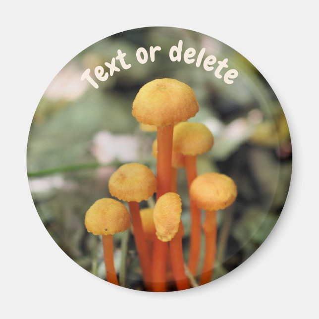Íman Orange Mushrooms Nature Personalized (Frente)