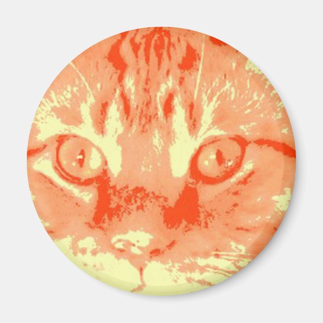 Íman Orange Tabby Cat (Frente)