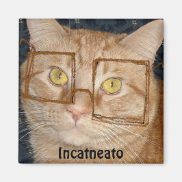Íman Orange Tabby Cat/Incognito Humor
