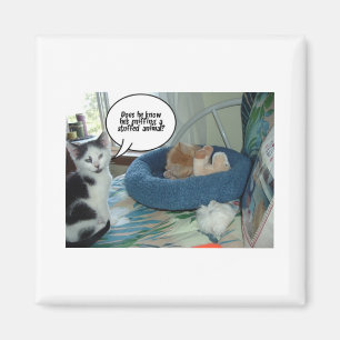 Íman Orange Tabby Kitty Cat