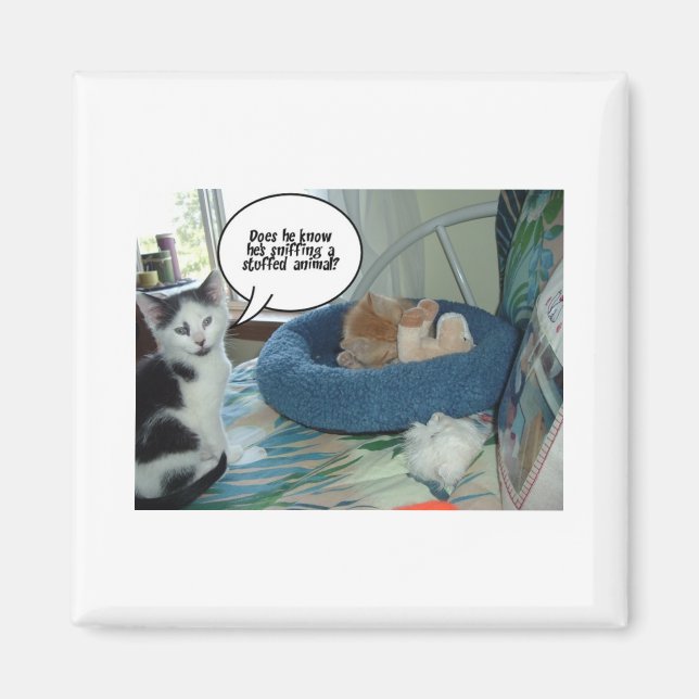 Íman Orange Tabby Kitty Cat (Frente)