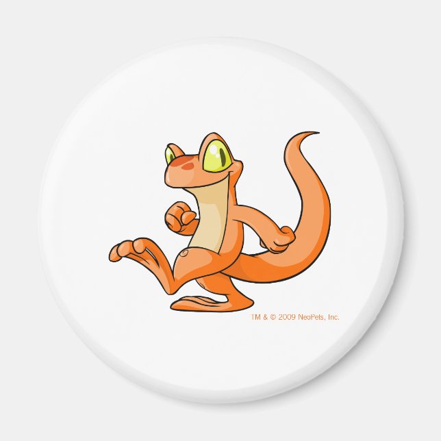 Íman Orange Techo em busca (Frente)