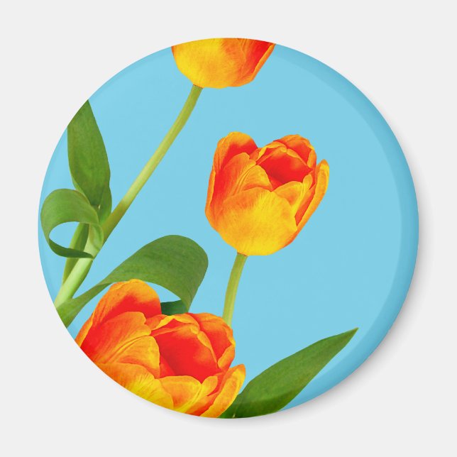 Íman Orange Tulip (Frente)