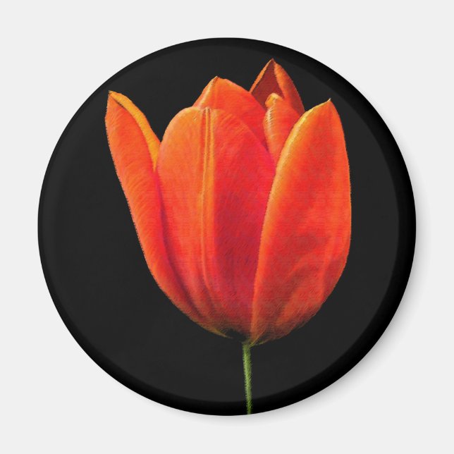 Íman OrangeTulip (Frente)