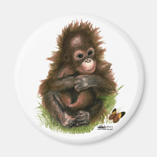 Íman Orangutan Baby e Butterfly