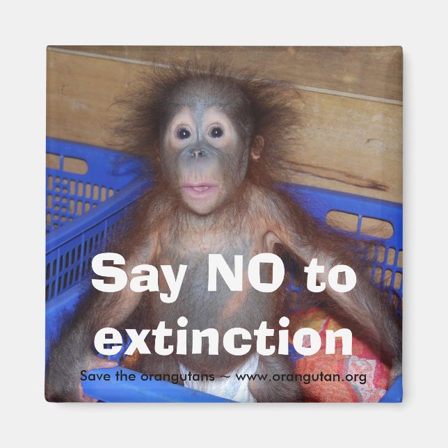 Íman Orangutan Conservation (Frente)