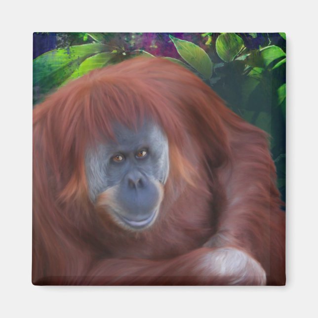 Íman Orangutan Magnet (Frente)