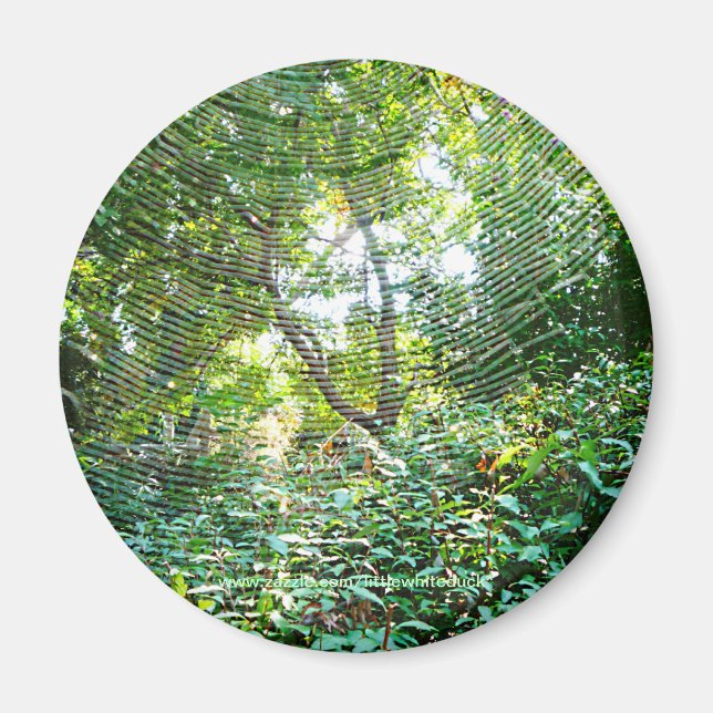 Íman Orb Spider Web - Magnet (Frente)