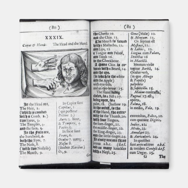 Íman "Orbis Sensualium Pictus" (Frente)